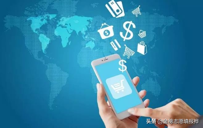 電子商務(wù) 平臺開發(fā)與運營的核心解析